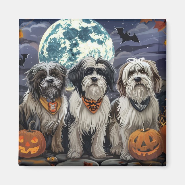 Íman Tibetan Terrier Halloween Assustador (Frente)
