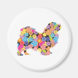 Íman Tibetano - espanhol