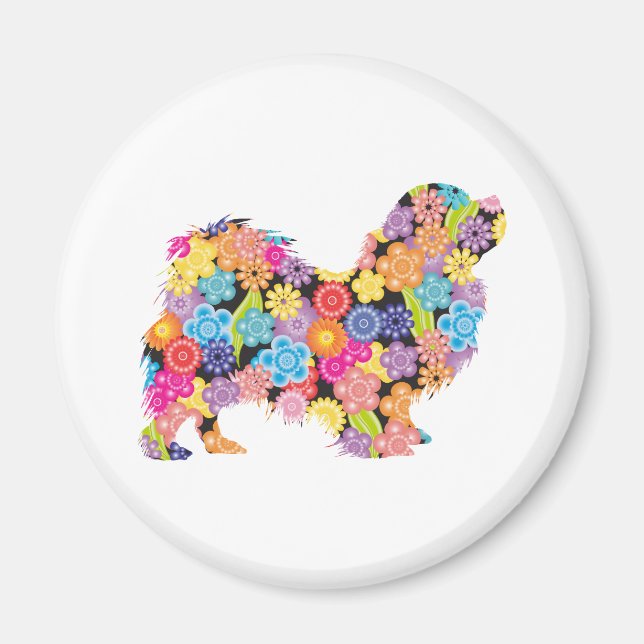 Íman Tibetano - espanhol (Frente)