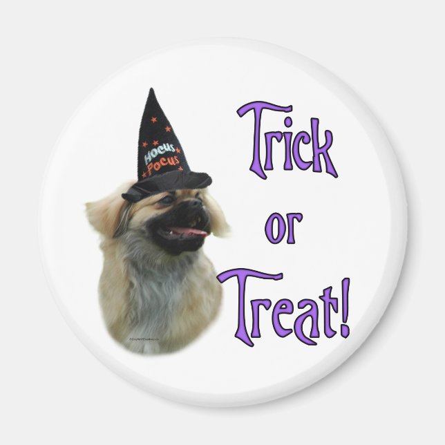 Íman Tibetano Spaniel Trick (Frente)