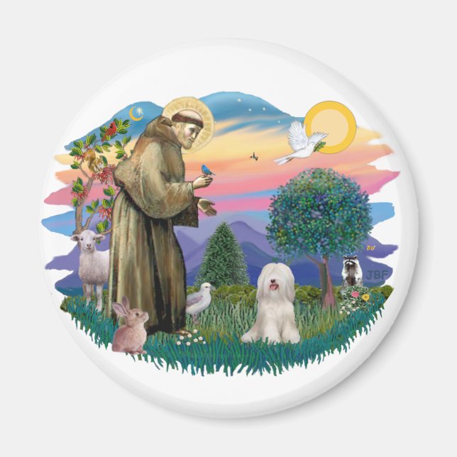 Íman Tibetano Terrier (branco) (Frente)