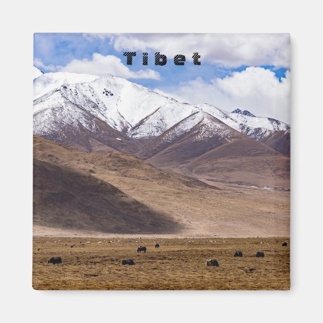 Íman Tibete - Paisagem de montanha com iaques (Frente)