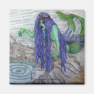 ÍMAN TIDEPOOL QUE DAYDREAMING