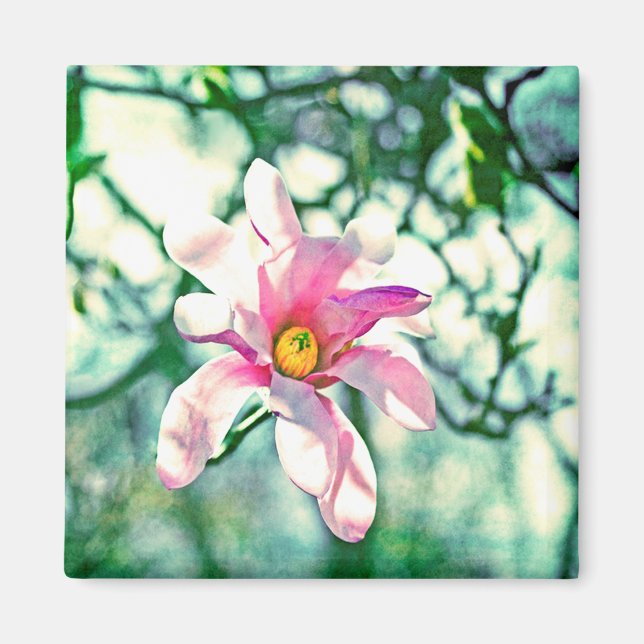 Íman Tiffany Magnolia (Frente)