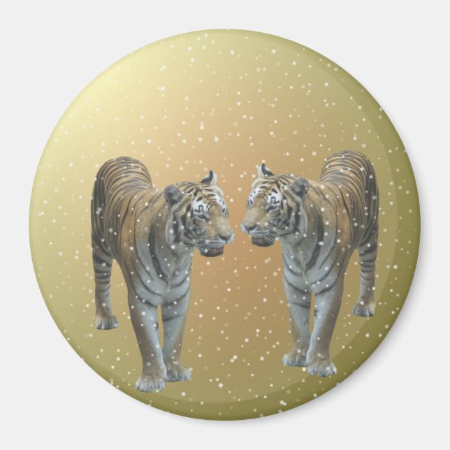 Íman Tiger Buddies (Frente)