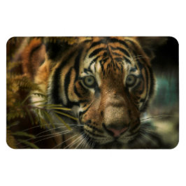 ÍMAN TIGER GROUND ZERO