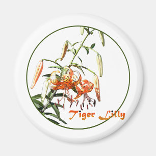 Íman Tiger Lilly