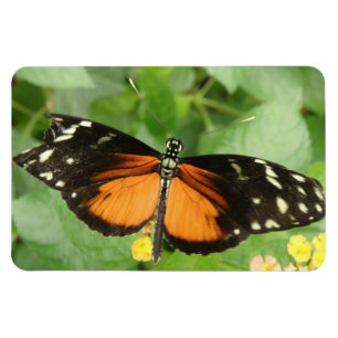 Íman Tiger Longwing Butterfly Flexi Magnet