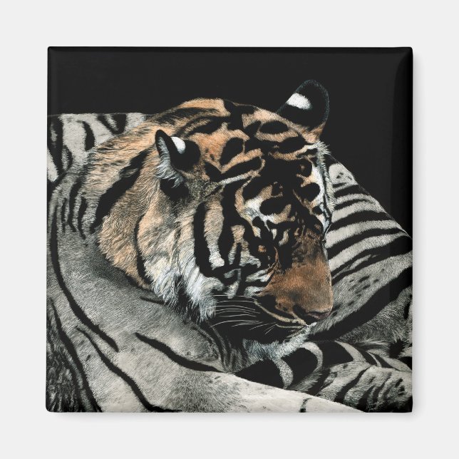 Íman Tiger Magnet nº 2 - "Padrões adormecidos" (Frente)