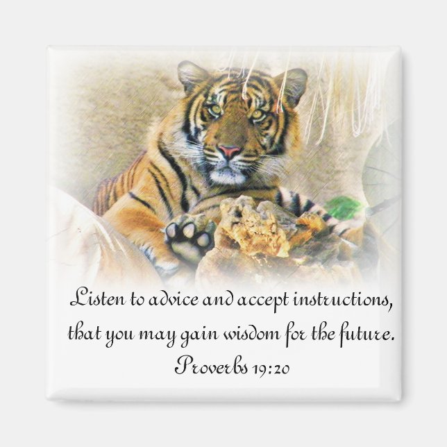 Íman Tiger,Procurando_ (Frente)