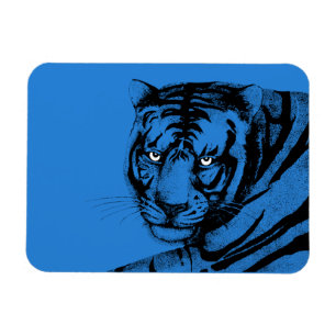 ÍMAN TIGRE