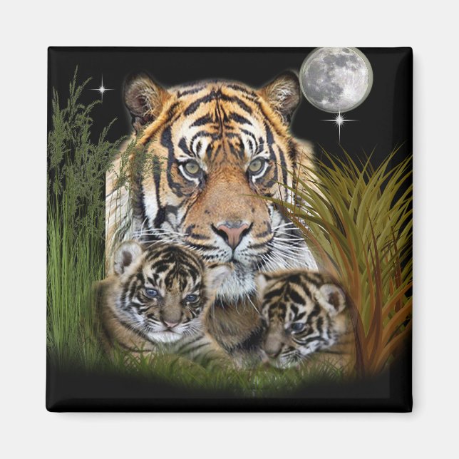 Íman Tigre (Frente)