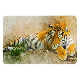 Íman Tigre