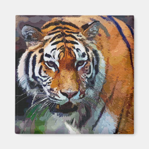 Íman Tigre