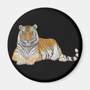 Íman Tigre