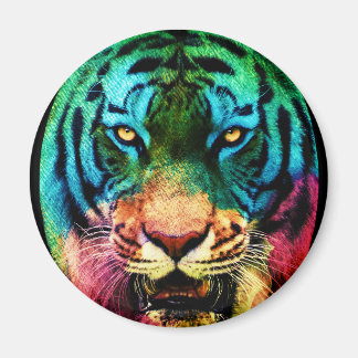 Íman Tigre Arco-íris