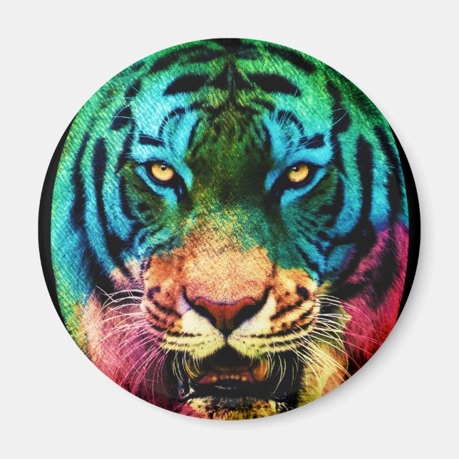 Íman Tigre Arco-íris (Frente)
