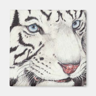 Íman Tigre branco