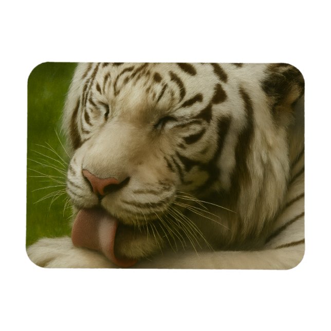 Íman Tigre Branco no Ritual de Alinhamento Privado (Horizontal)