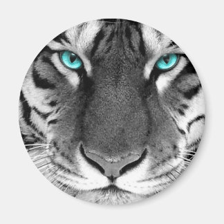 Íman Tigre Branco Preto