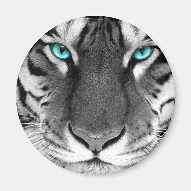Íman Tigre Branco Preto (Frente)
