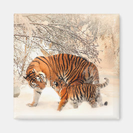 Íman Tigre com cubo na neve do inverno