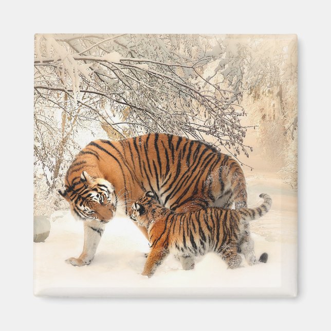 Íman Tigre com cubo na neve do inverno (Frente)