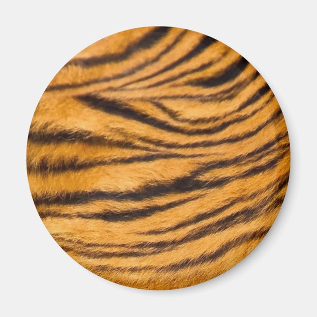 Íman Tigre com pelo Preto e Laranja Personaliza-o (Frente)