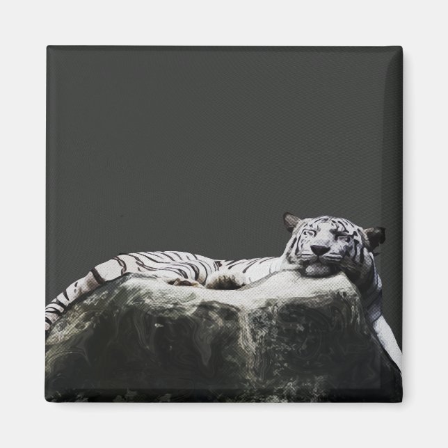 Íman Tigre de neve branca - Grande Gato dormindo (Frente)