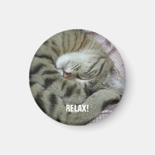 Íman Tigre-Gato