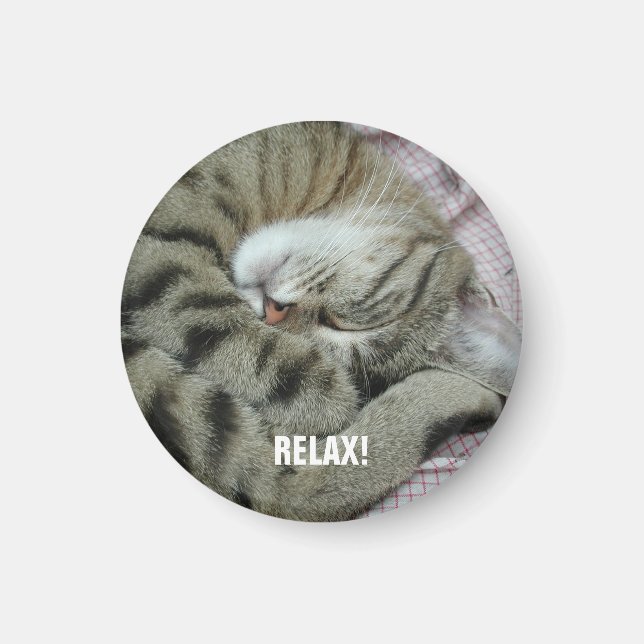 Íman Tigre-Gato Dormente (Frente)