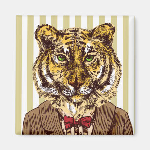 Íman Tigre no desgaste da noite