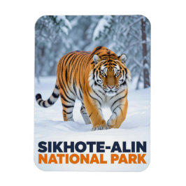 Íman Tigre no Parque Nacional Sikhote Alin Rússia