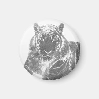 Íman Tigre Preto e Branco