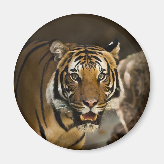 Íman Tigre Siberiano (Frente)