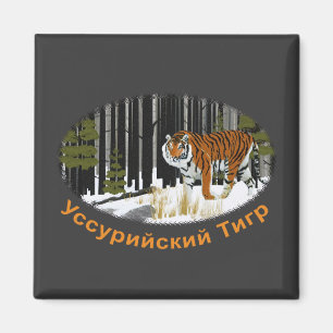 Íman Tigre Siberiano