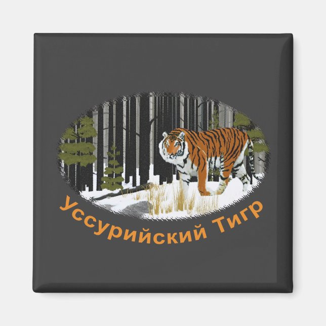 Íman Tigre Siberiano (Frente)