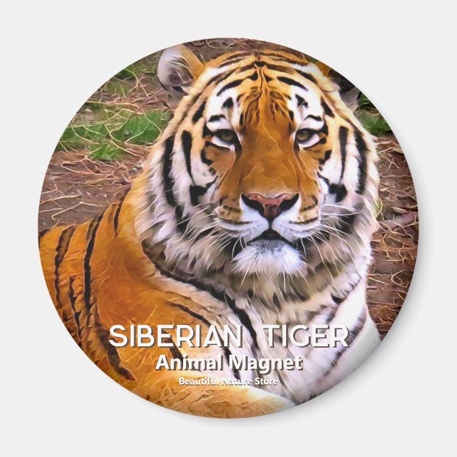 Íman Tigre Siberiano (Frente)