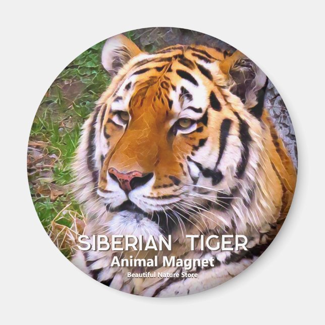 Íman Tigre Siberiano ímã (Frente)
