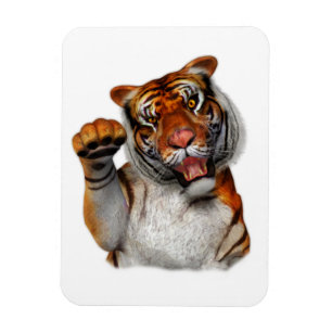 Íman Tigre, Tigre