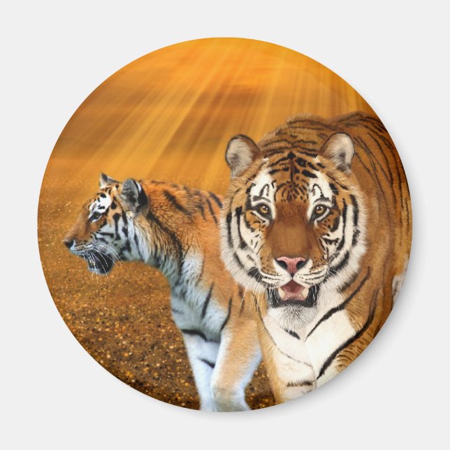 Íman Tigres (Frente)