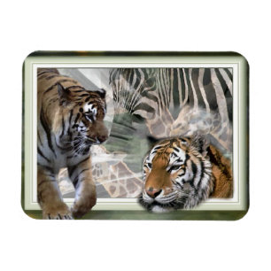 Íman Tigres, Zebra, Girafa, Selva Primitiva