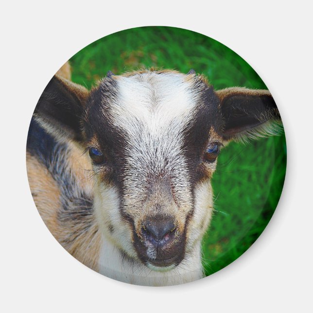 Íman Tinta (Frente)