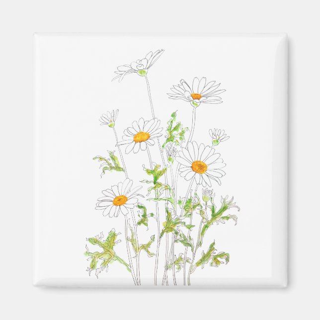 Íman tinta branca e aquarela da margarida Margaret (Frente)