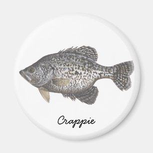 Íman TIPO DE PEIXE, tipo de peixe