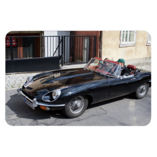 Íman Tipo E Jaguar Preto