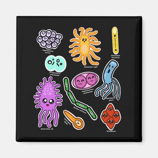 Íman Tipos De Bactérias (Frente)