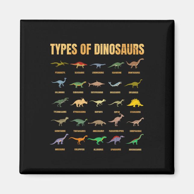Íman Tipos De Dinossauros - Identificação Dino - Din Re (Frente)