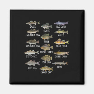 Íman Tipos De Espécies De Peixes De Água Doce Biologia