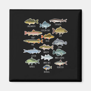 Íman Tipos De Espécies De Peixes De Água Doce Pesca